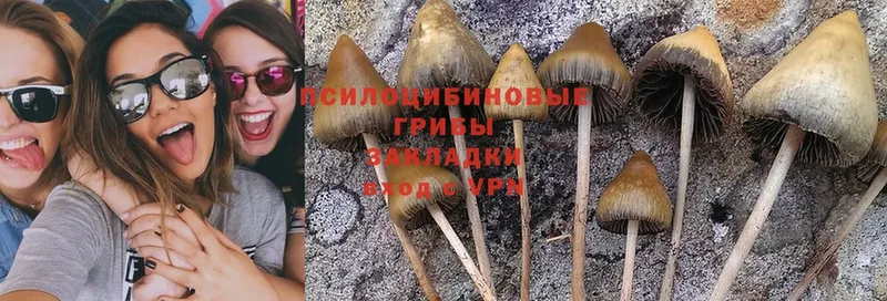 Галлюциногенные грибы Magic Shrooms  Инта 